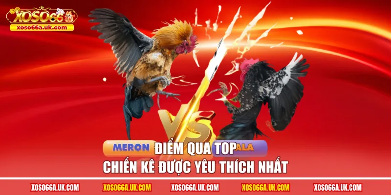 Điểm qua top chiến kê được yêu thích nhất
