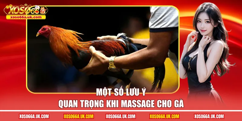 Một số lưu ý quan trọng khi massage cho gà