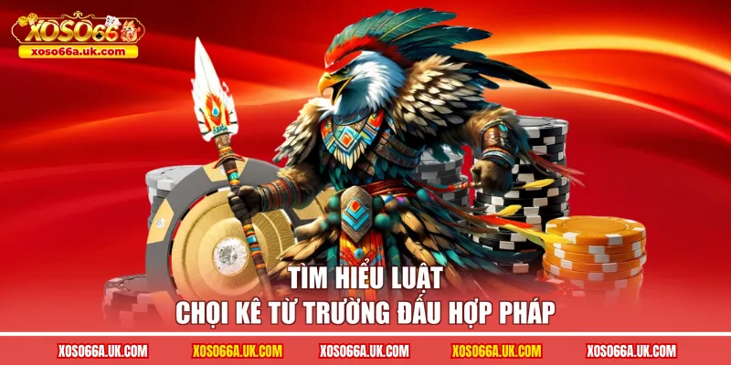 Tìm hiểu luật chọi kê từ trường đấu hợp pháp